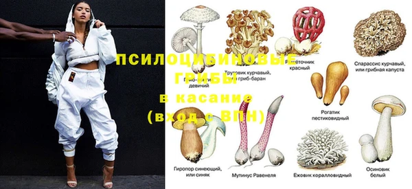 MESCALINE Богородск